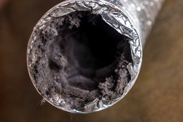 Best Duct Cleaning for Offices  in Brookfield, IL